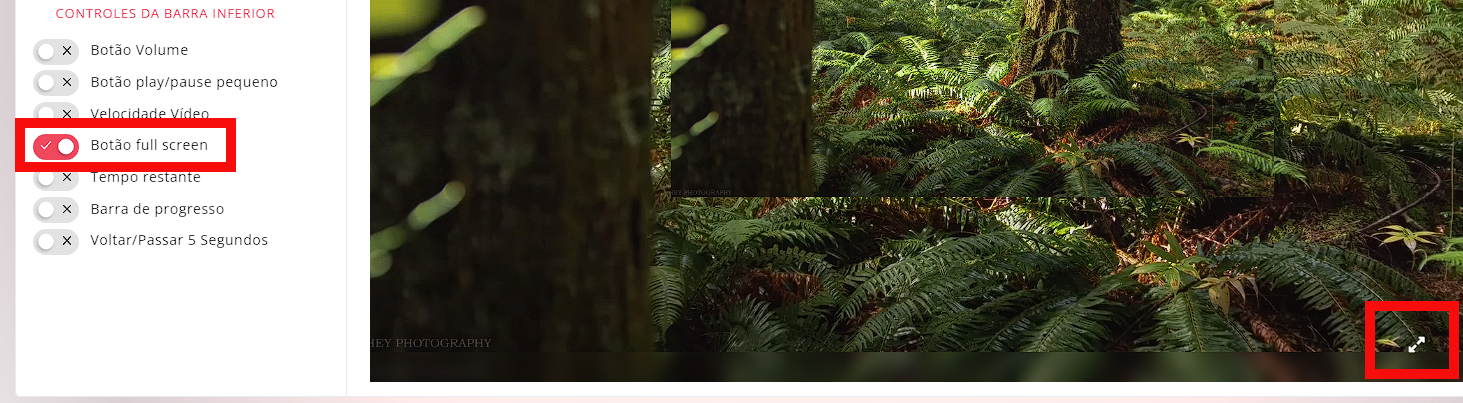 botao fullscreen